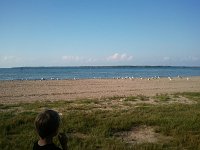 2011-07-06 18.48.38